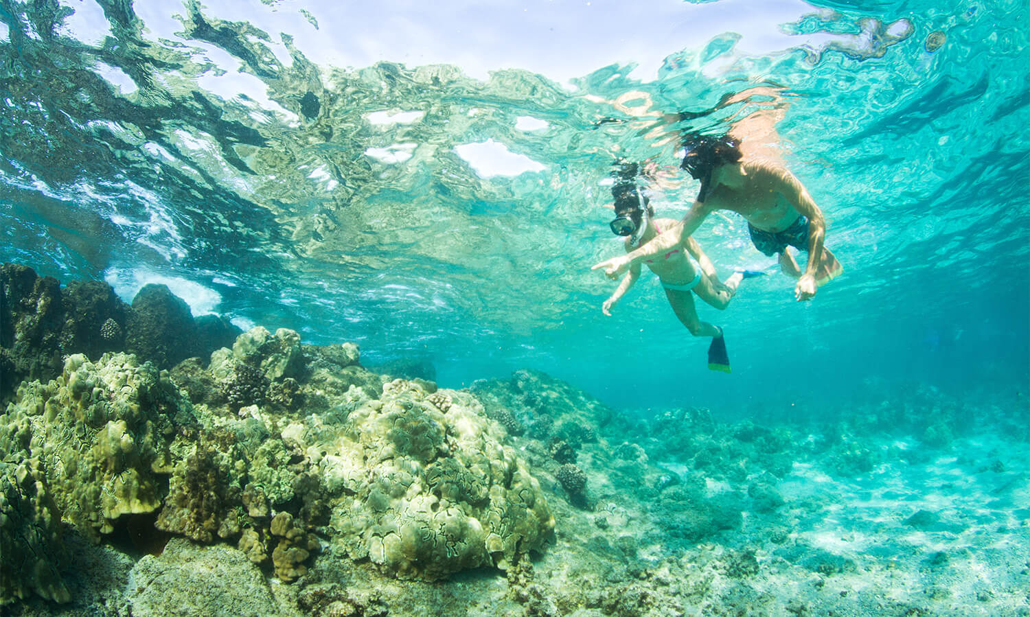 Richardsons Snorkling